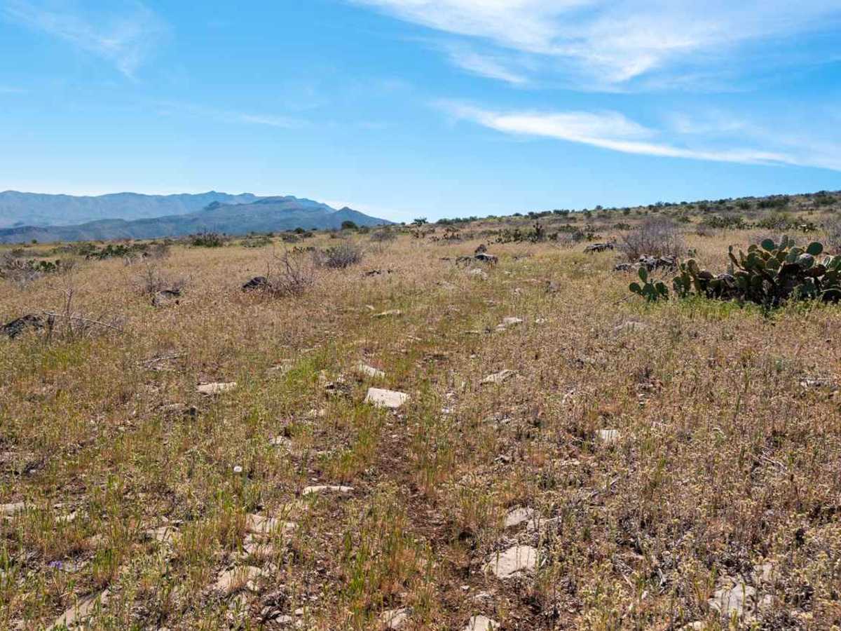 FS 3271A trail photo