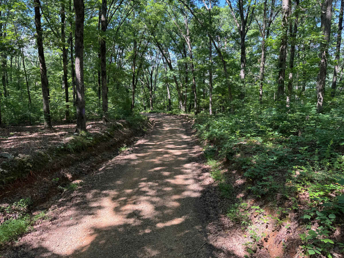 Panther Creek trail photo