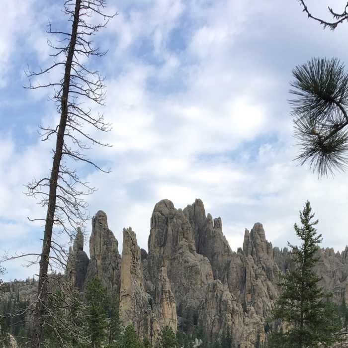 Near Cathedral Spires Trail