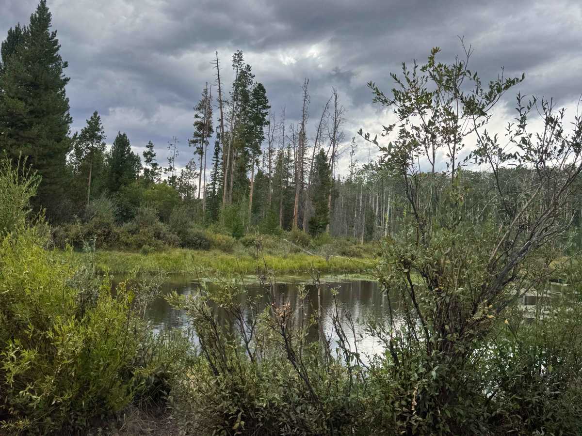Beaver Dam photo 6