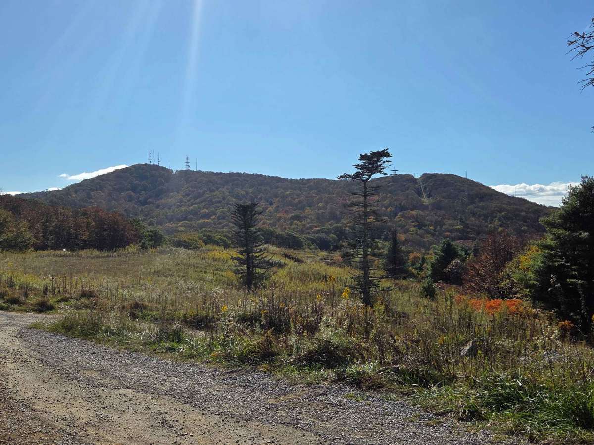 Viking Mountain Road trail photo