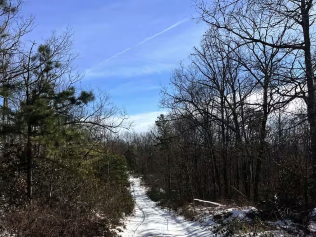 Coffer's Camp Trail photo 4