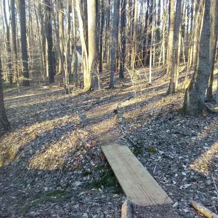 Near Strickland Park Nature Trail