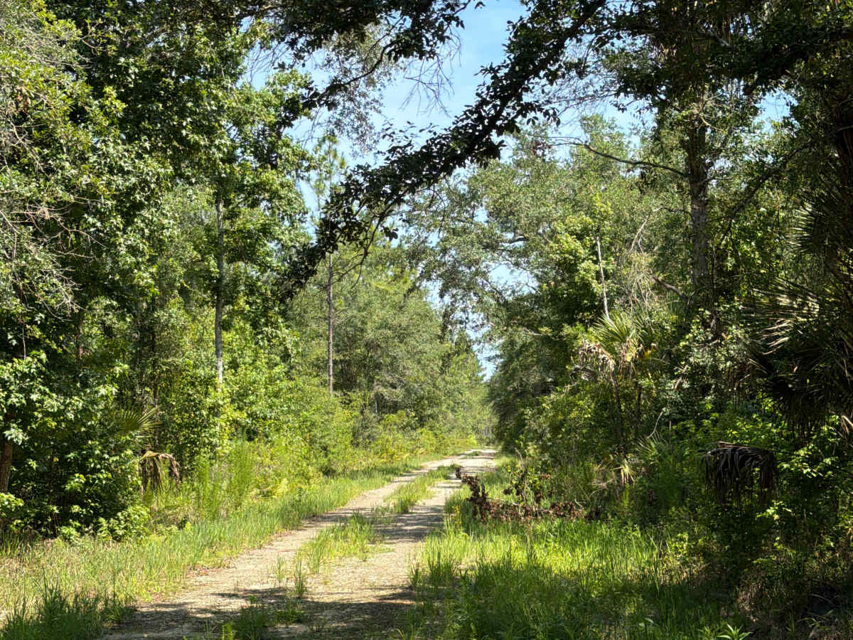 Green‘s Road trail photo