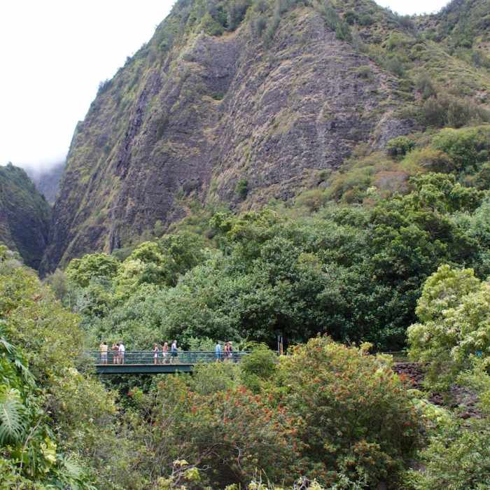 Tourists on the bridge. Near Iao Valley State Park