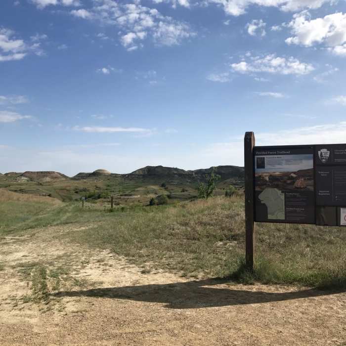 Near Petrified Trail Loop