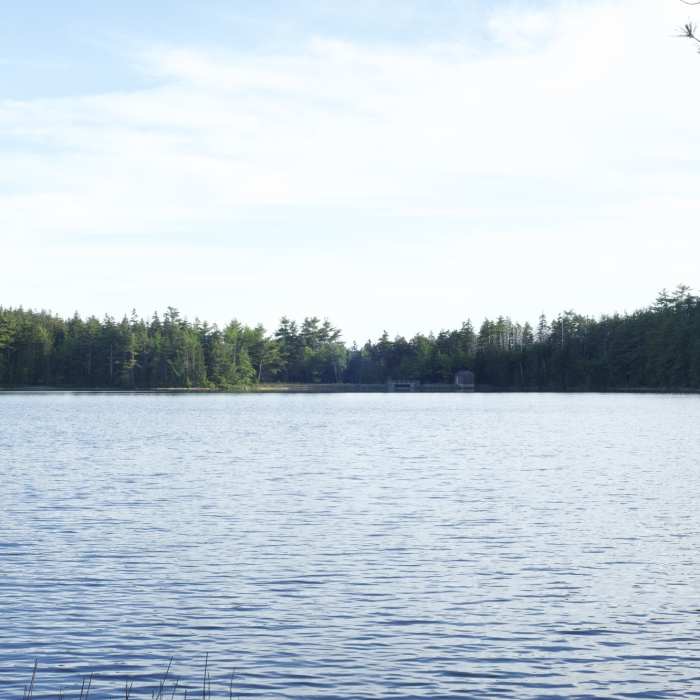 Views across Lower Hadlock Lake from the trail. Near Lower Hadlock Trail