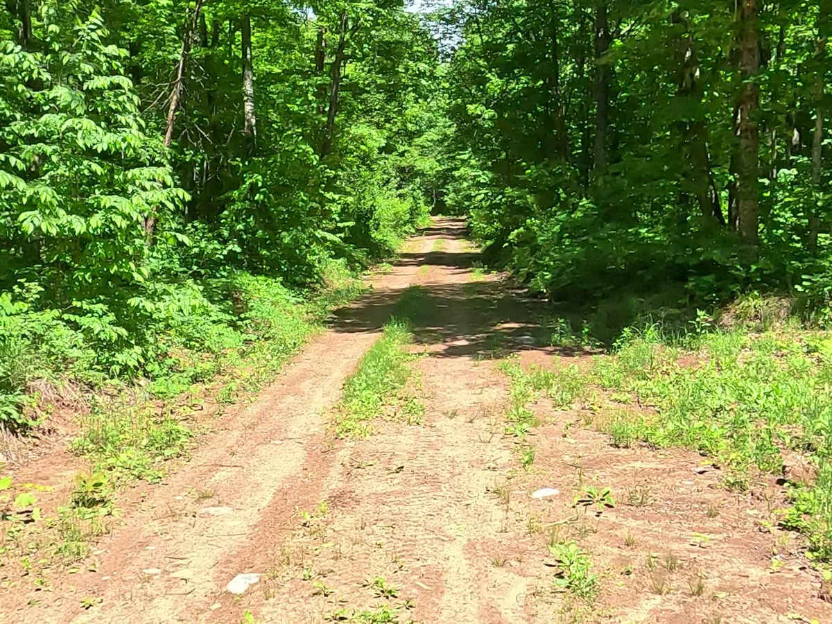 Menge Bypass Loop photo 5