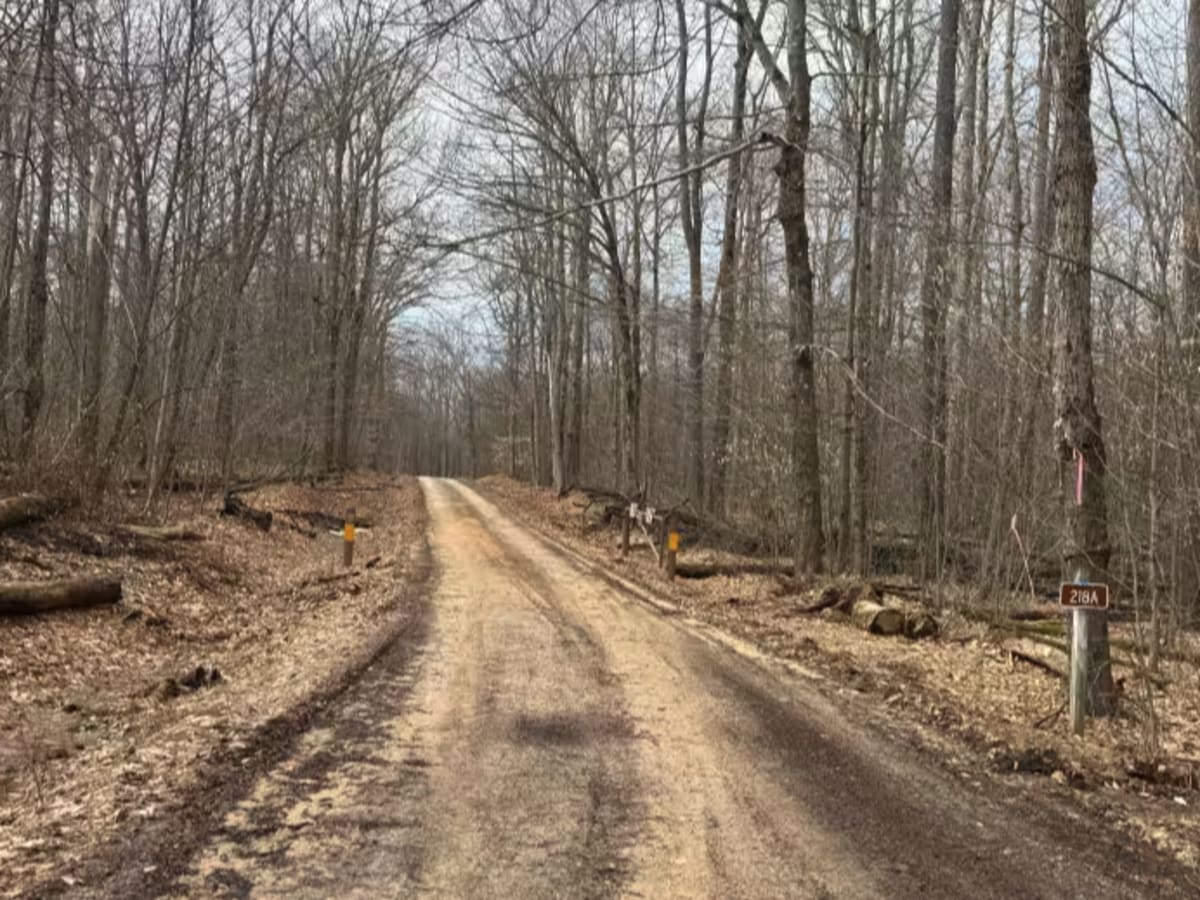 Hastings A - FS 218A trail photo