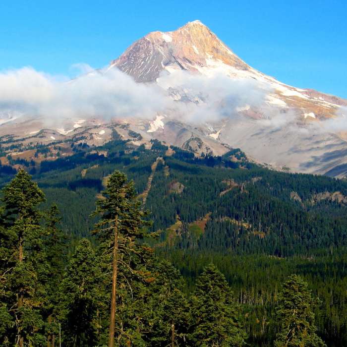 Near Gunsight Trail #685