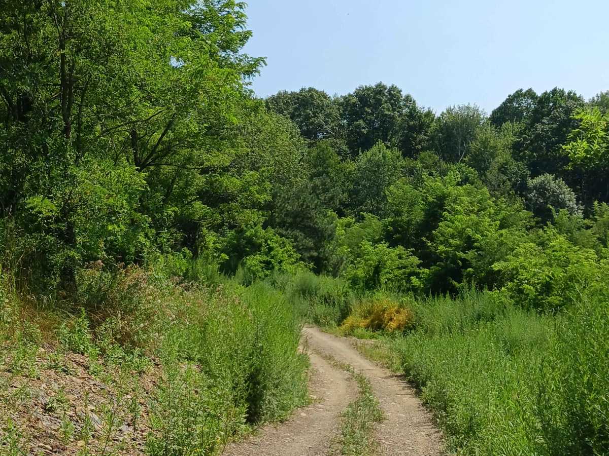 Opossum Run - Rock Run Recreation Area photo 4