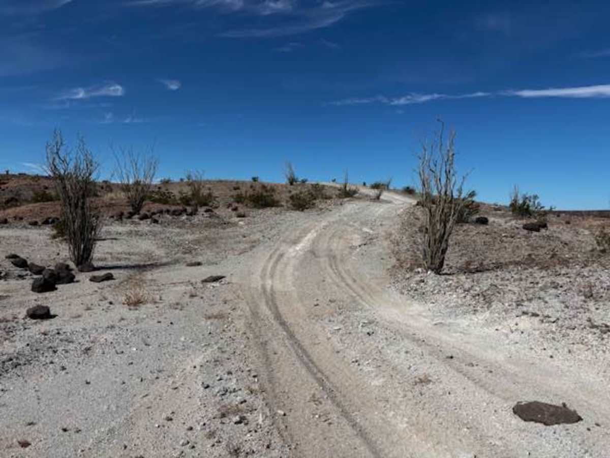 Indian Pass Spur Loop trail photo
