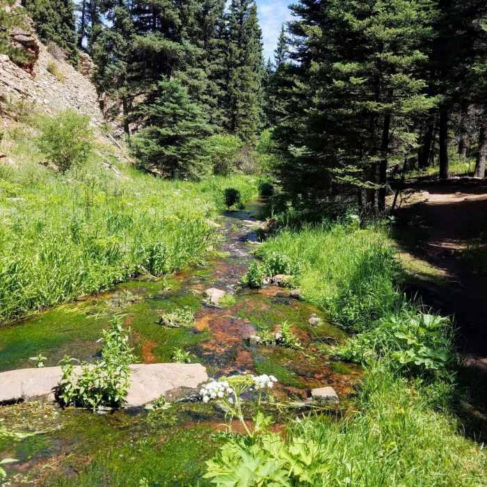 Near Mule Creek Trail