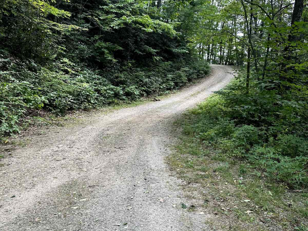 Cold Spring Gap Road photo 6