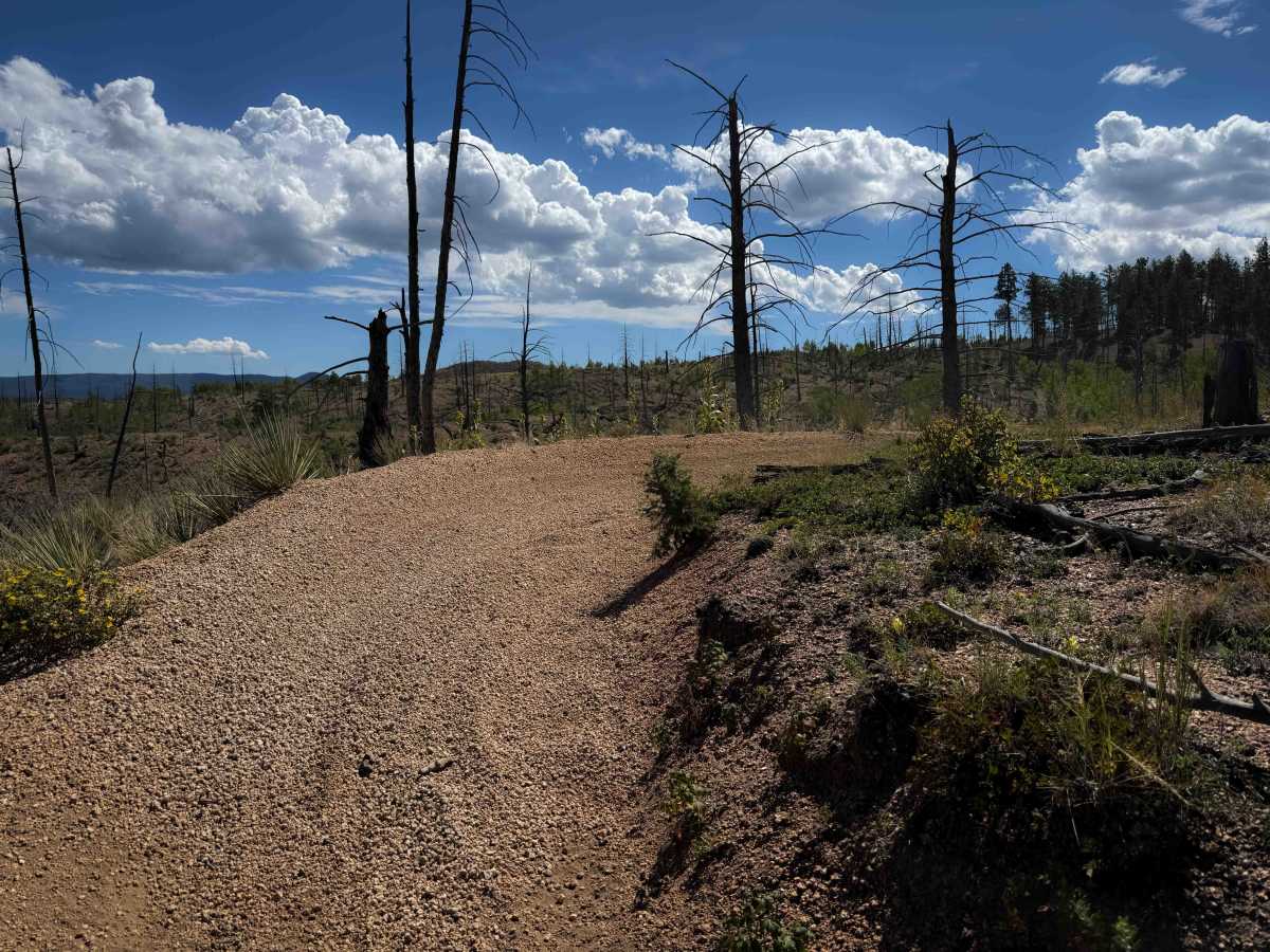 Signal Butte Trail 717 (Northwest Segment) photo 5