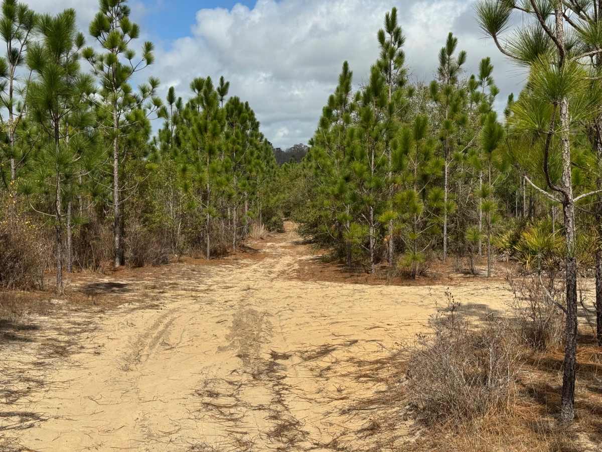 Hunting Road photo 4