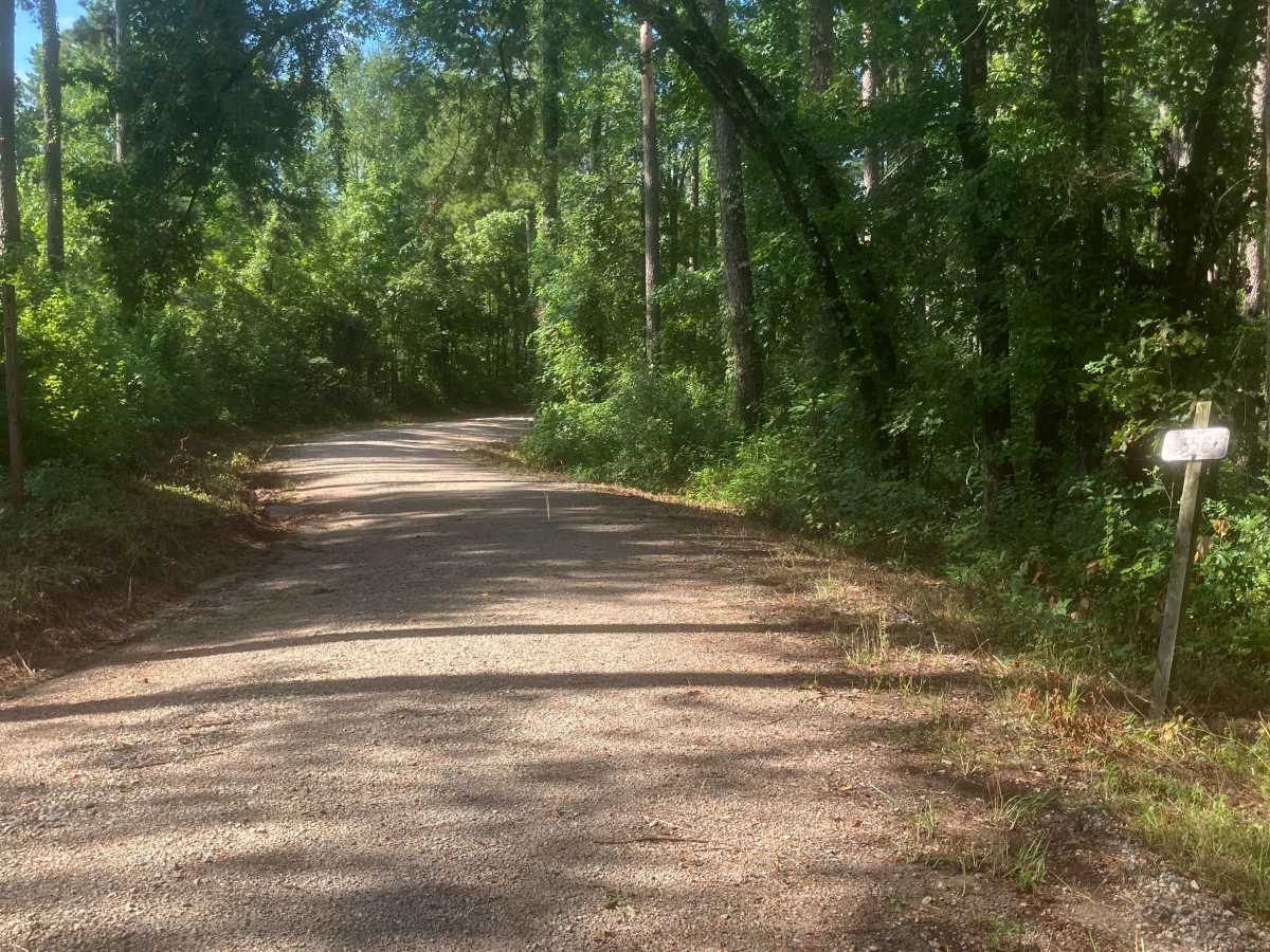 Mason Wildlife Trail North photo 2
