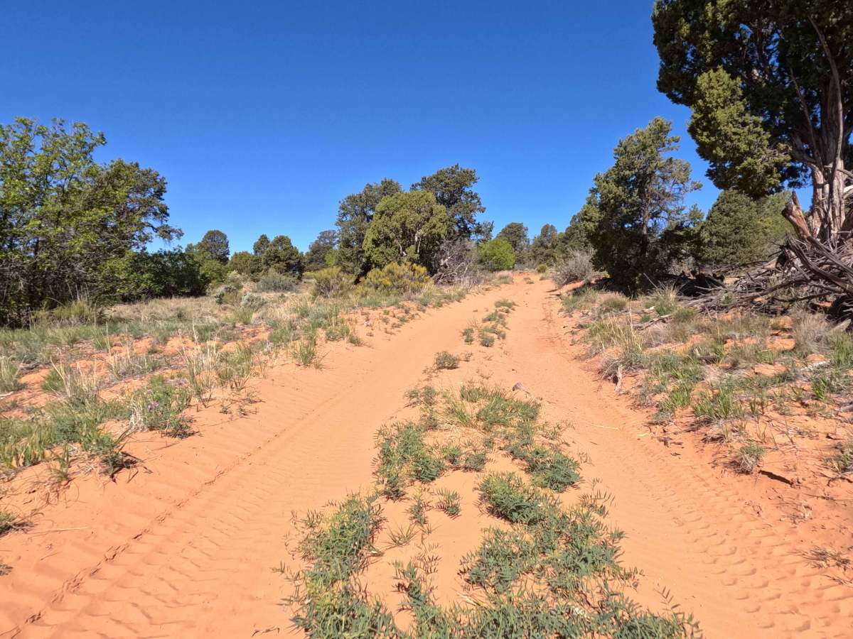 BLM 73  photo 5