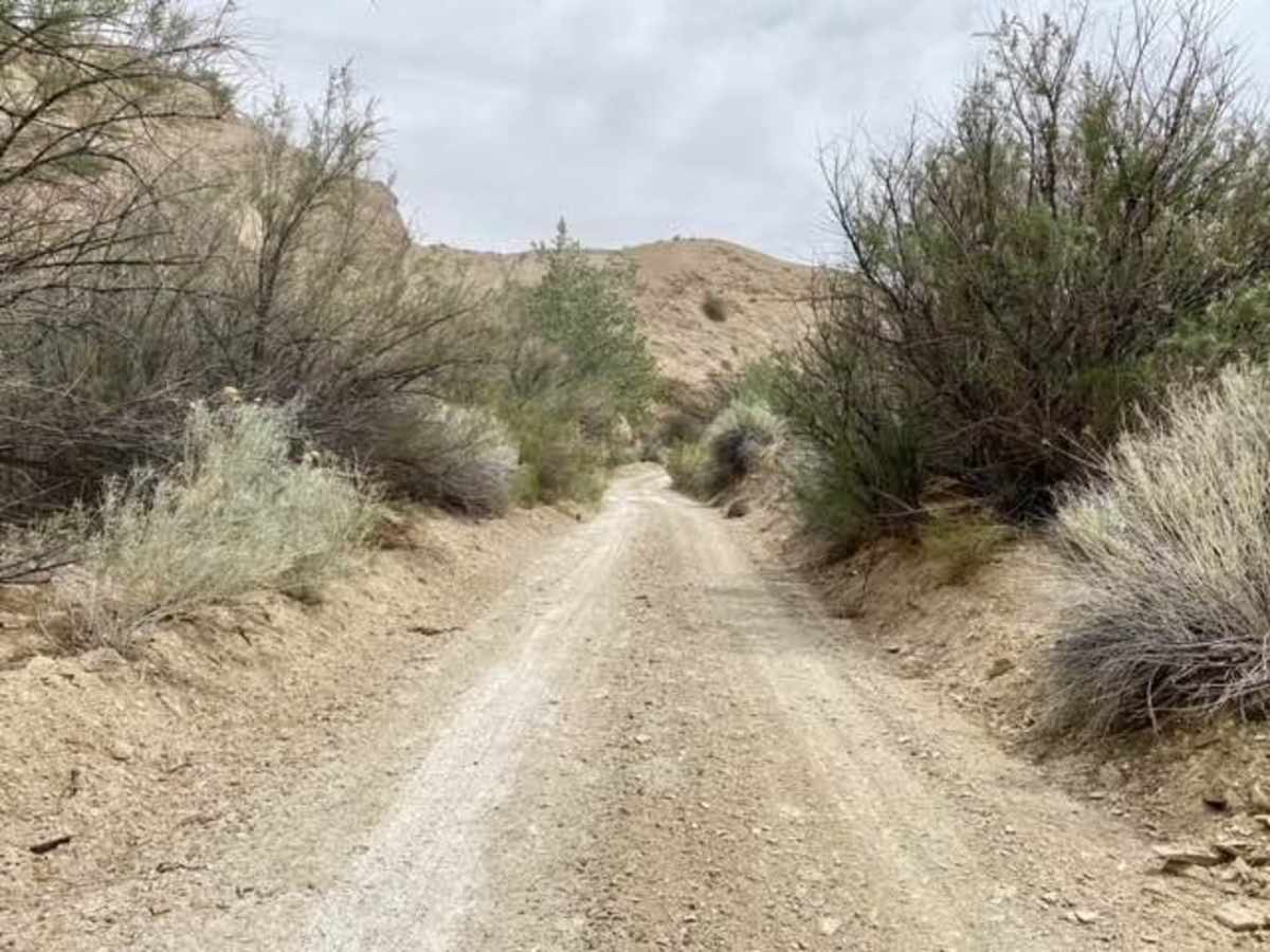 Devils Canyon Wilderness Trail photo 5