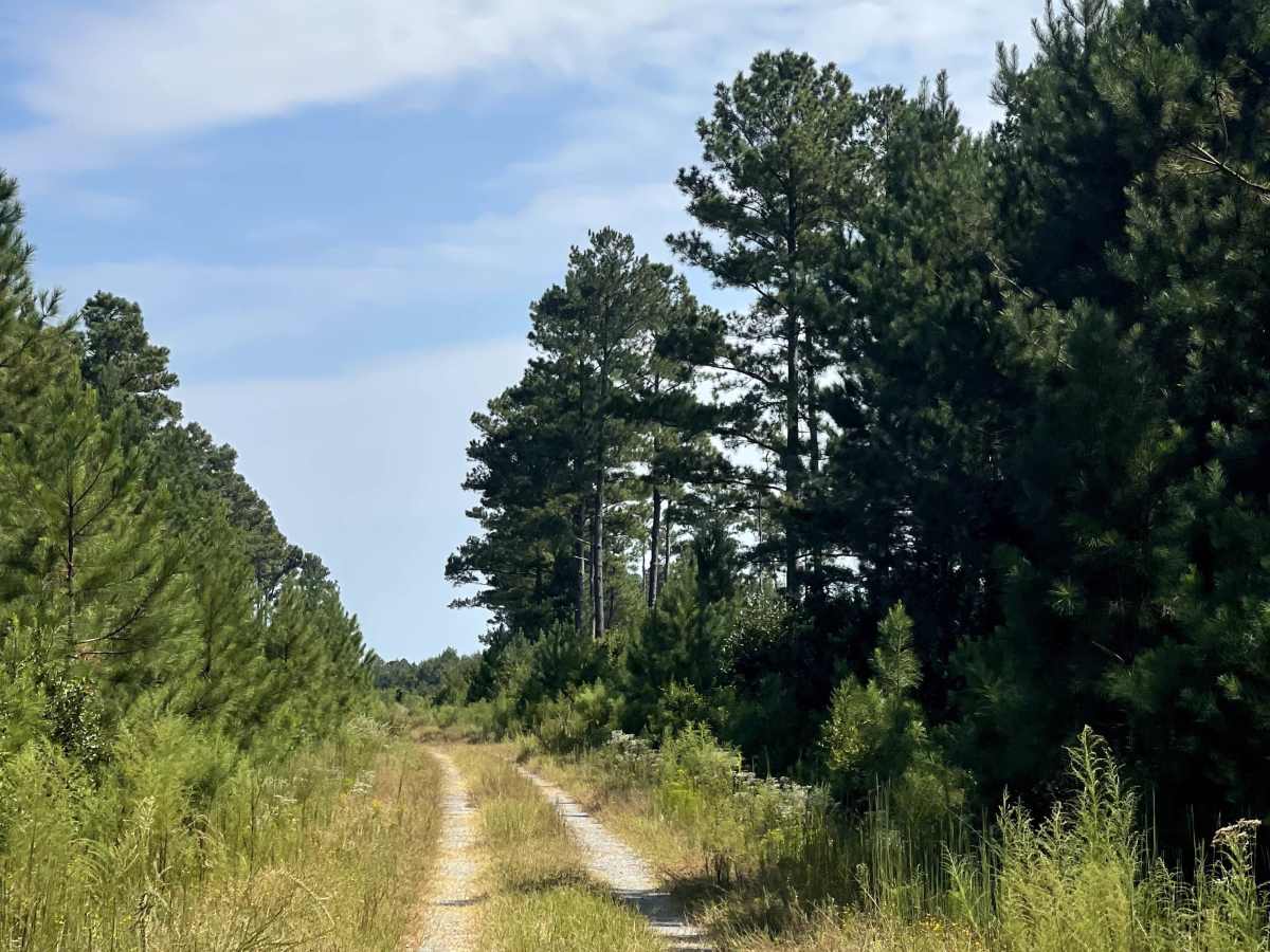 Long Ridge Road photo 4