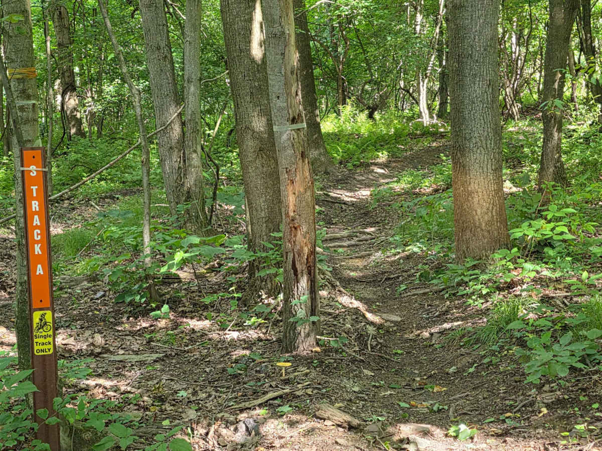 Single Track C photo 2