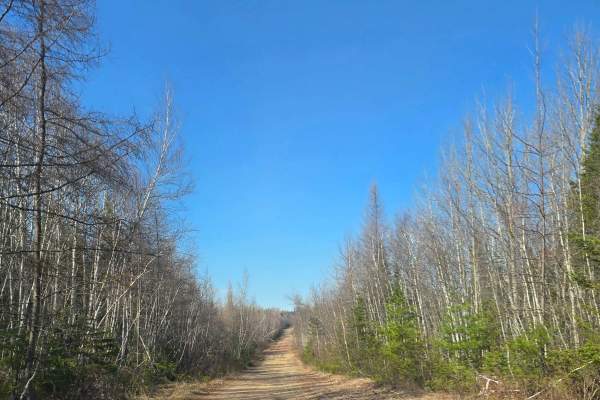 Campbell Brook Road 