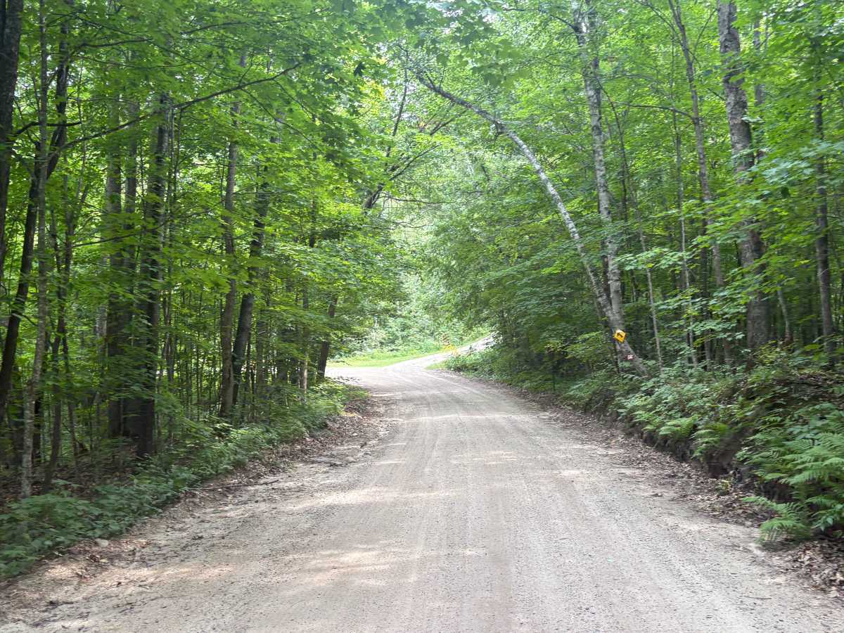 Hannah Ore Forest Road trail photo