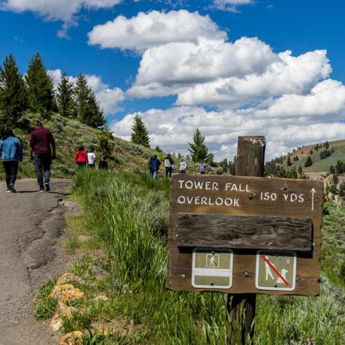 Near Tower Fall Trail