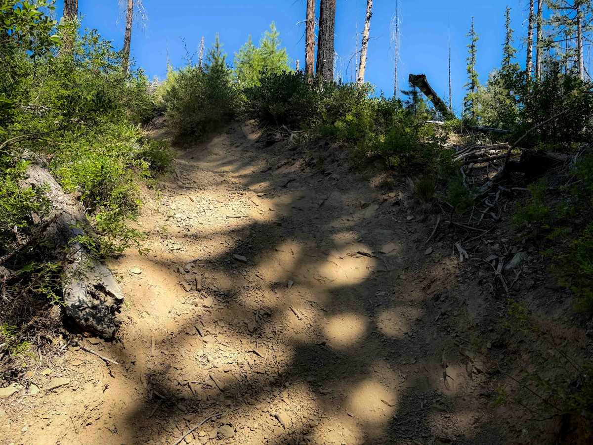 Lightning Point Trail 1377.1 photo 2