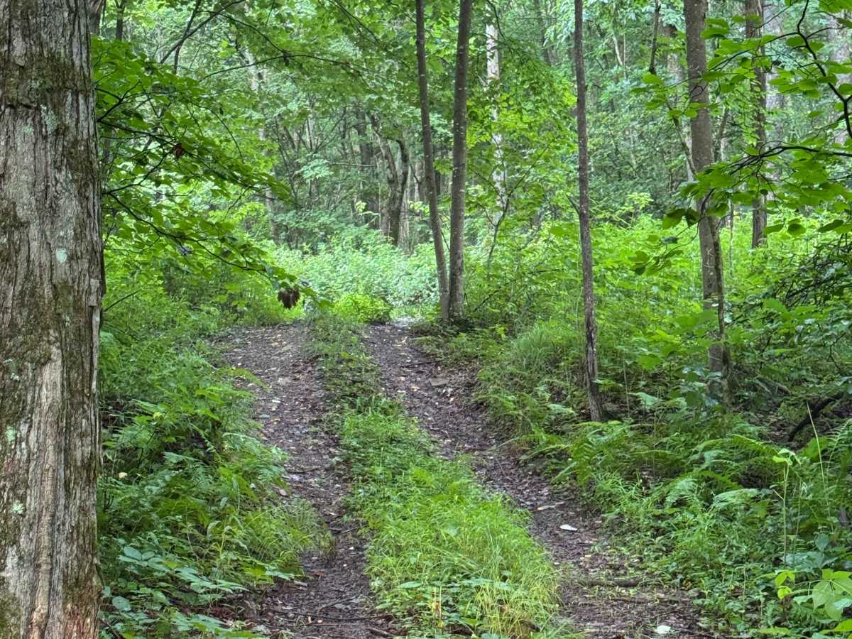 Trail 47 photo 6