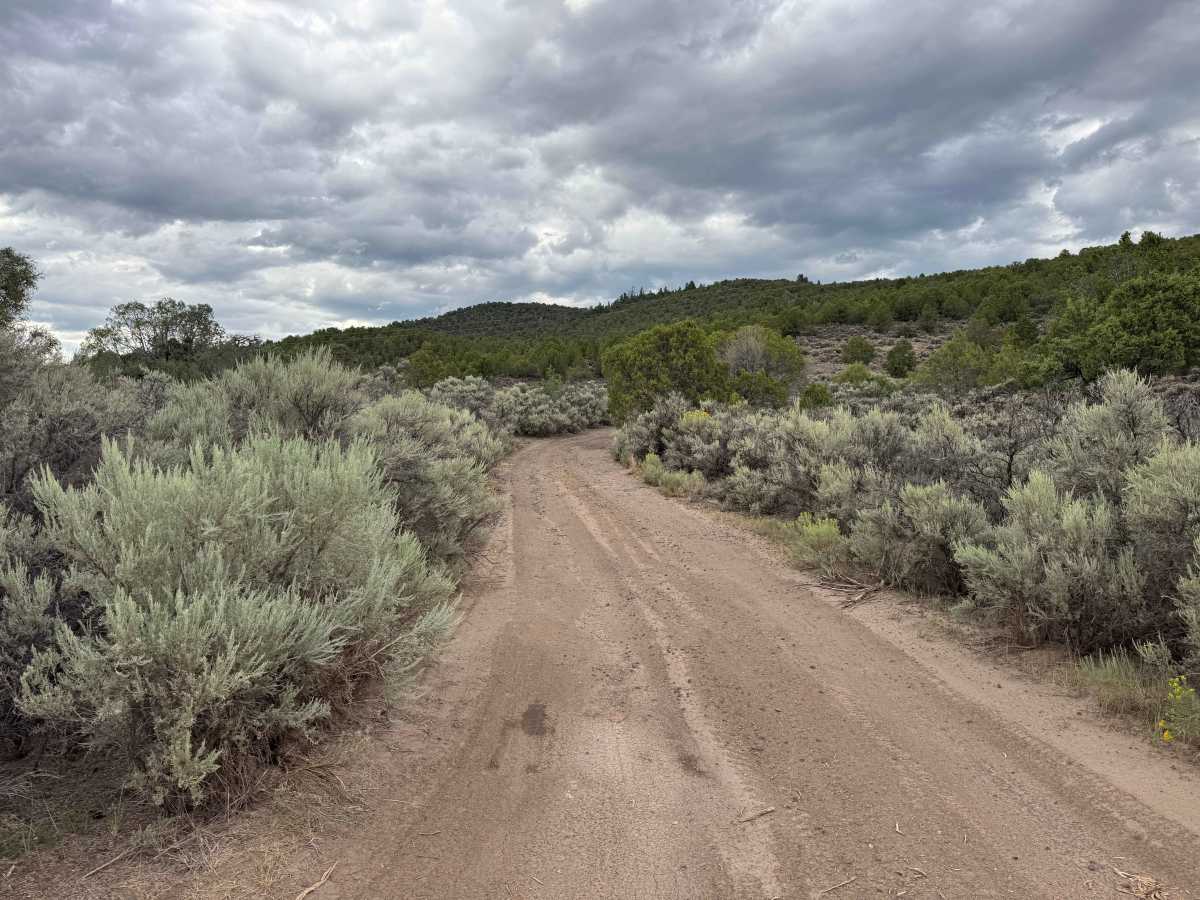 BLM 2722 trail photo