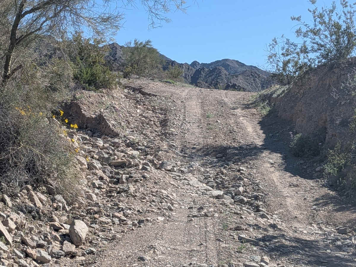 Tom Wells Road - EC1268 photo 5