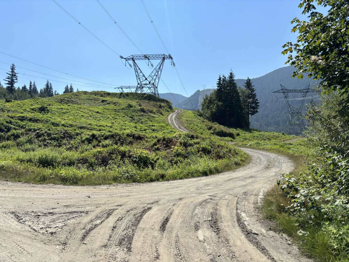 Deer Lake Viewpoint photo 2