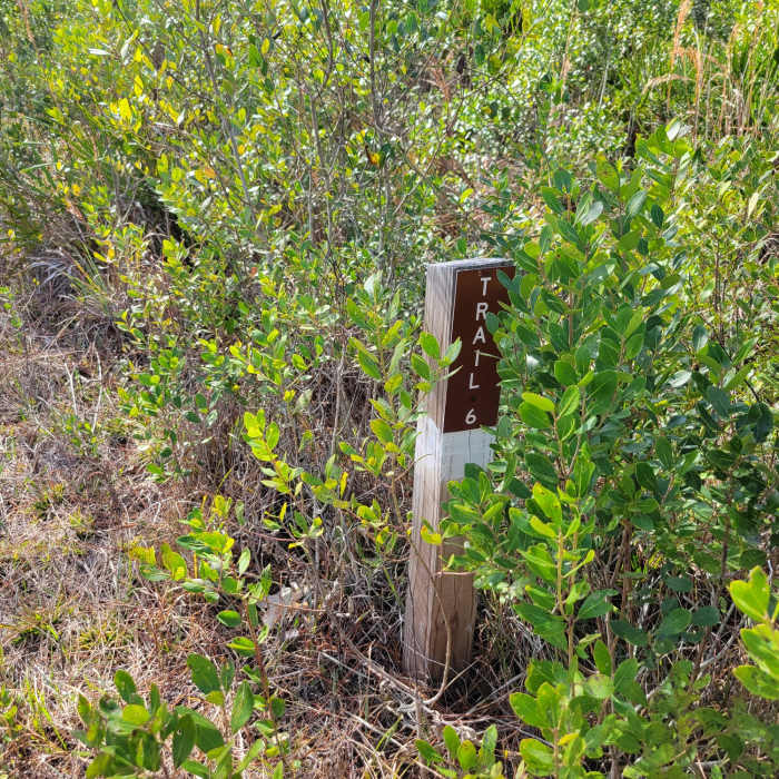 Some signage exists, but often behind brush. Near White Loop