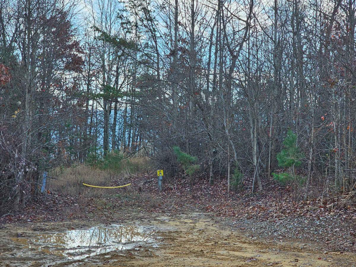 Railey Road photo 4