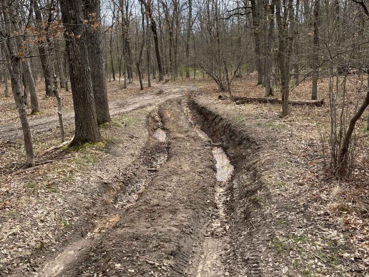 5431 Skidder Hill photo 5