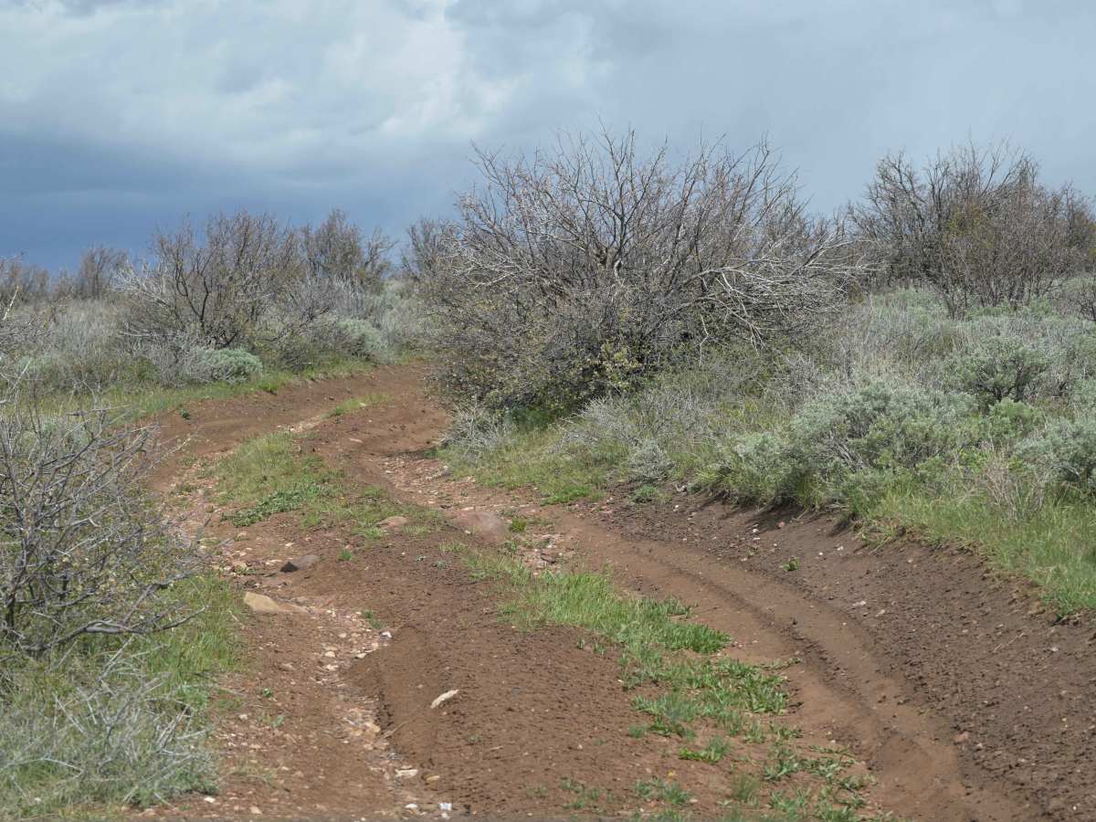 Little Brush Creek - FS 10052 trail photo