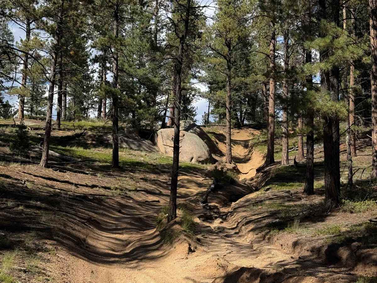 Phantom Spur Trail - FS 717B  photo 3