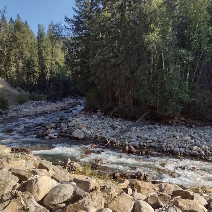 Near Swift Creek Lookout Hike