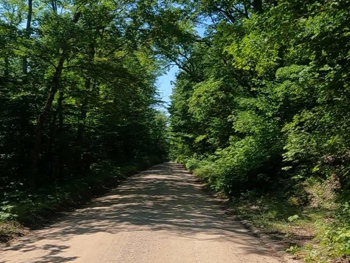 Pohlman Drive photo 4