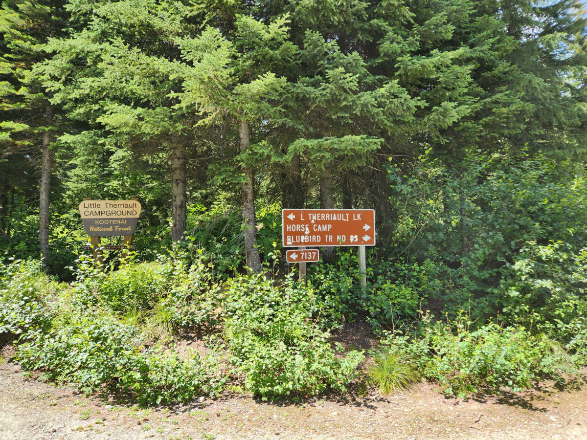 Bluebird Creek photo 3