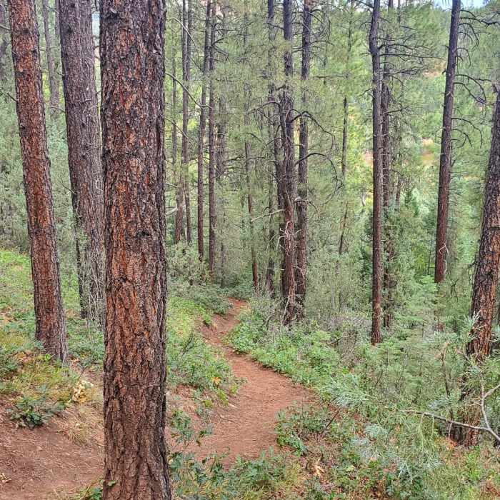 Near Falls Creek Road