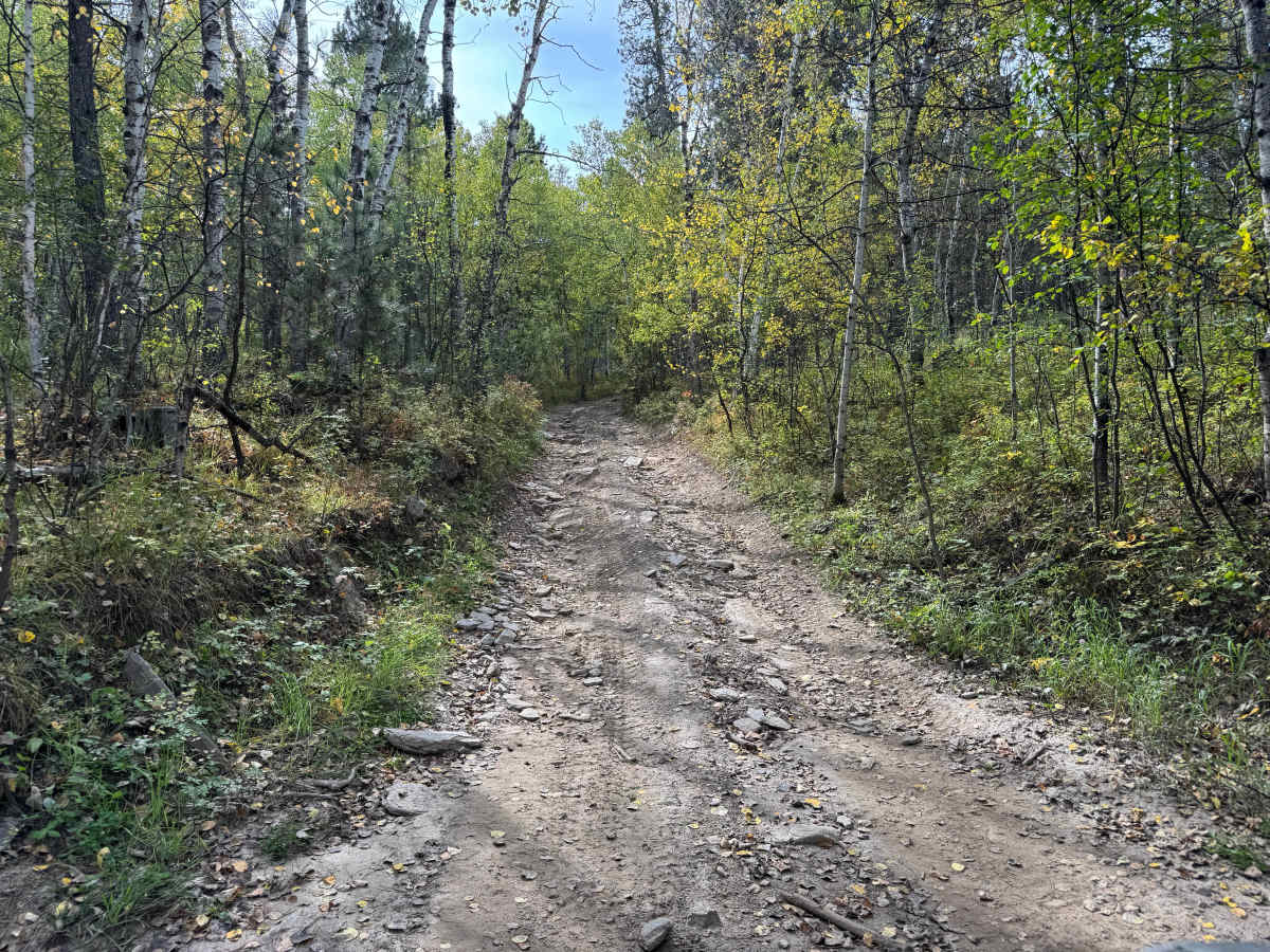 Marshall Gulch trail photo