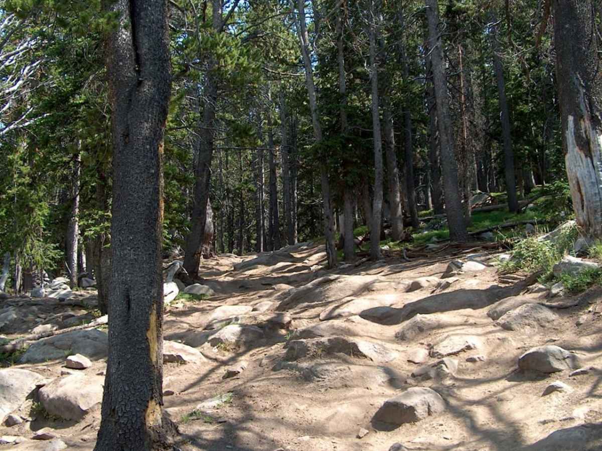 Christina Lake photo 5