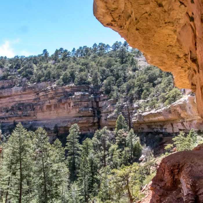 Near Cliff Springs Trail