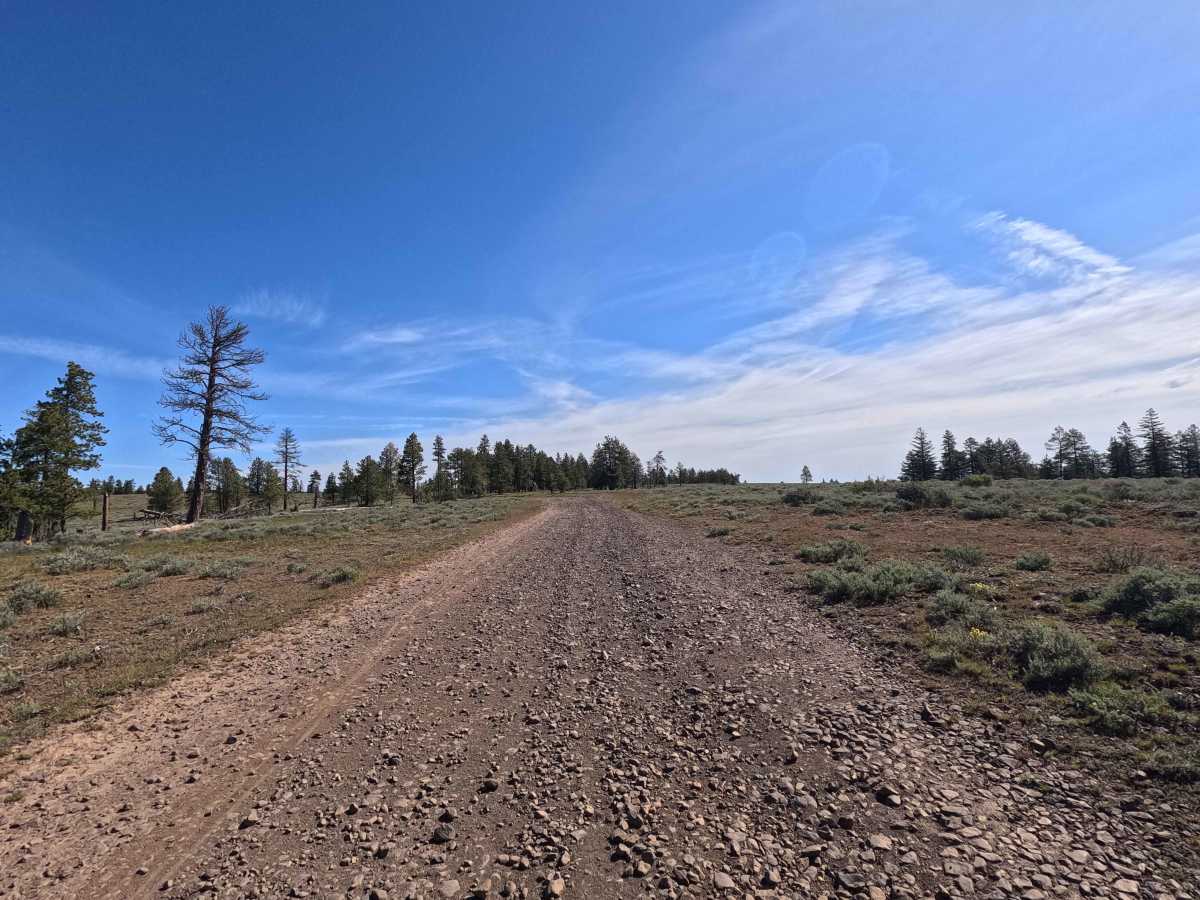Brushy Road photo 2