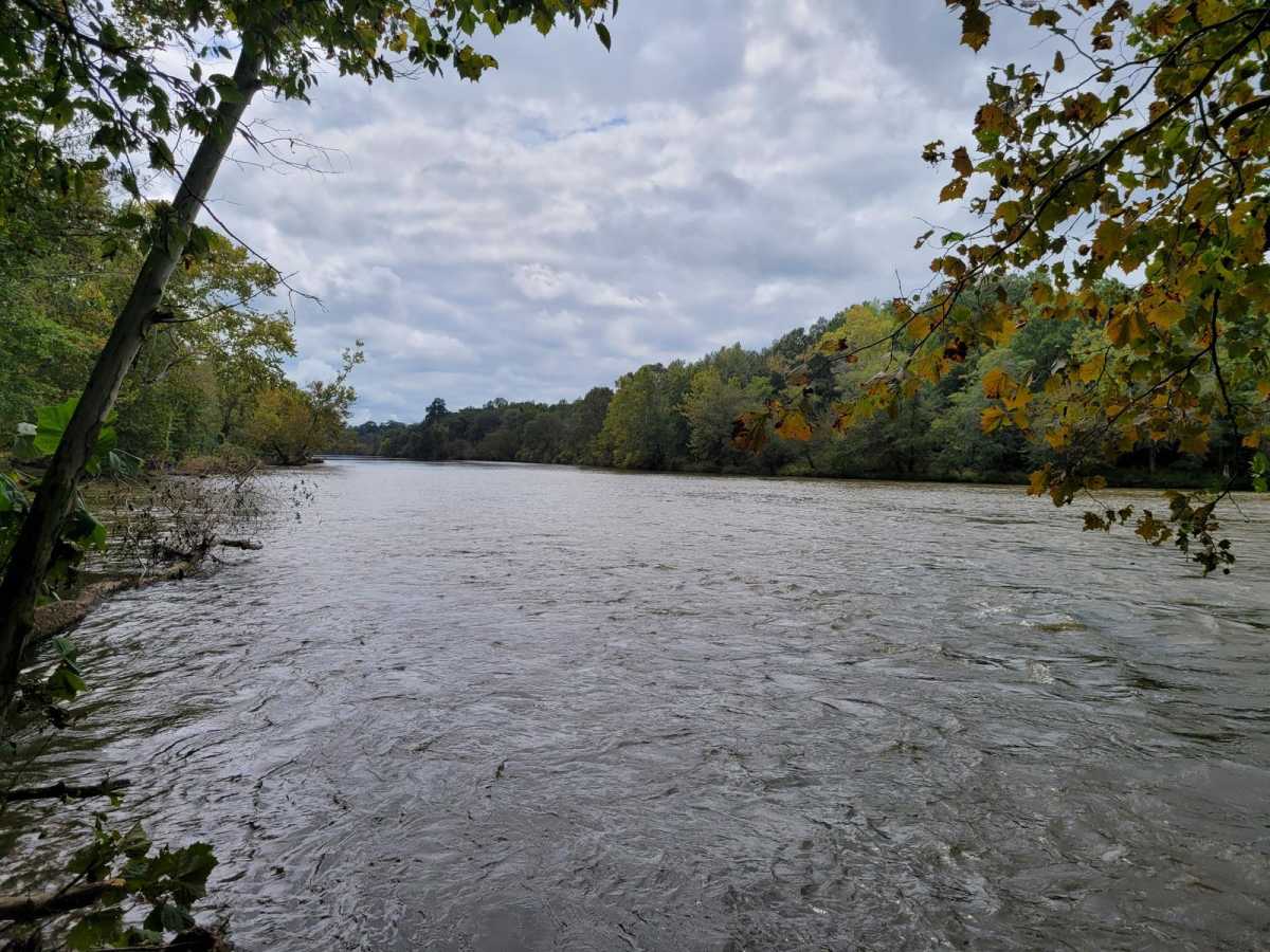 Lane Cemetery Trail photo 4