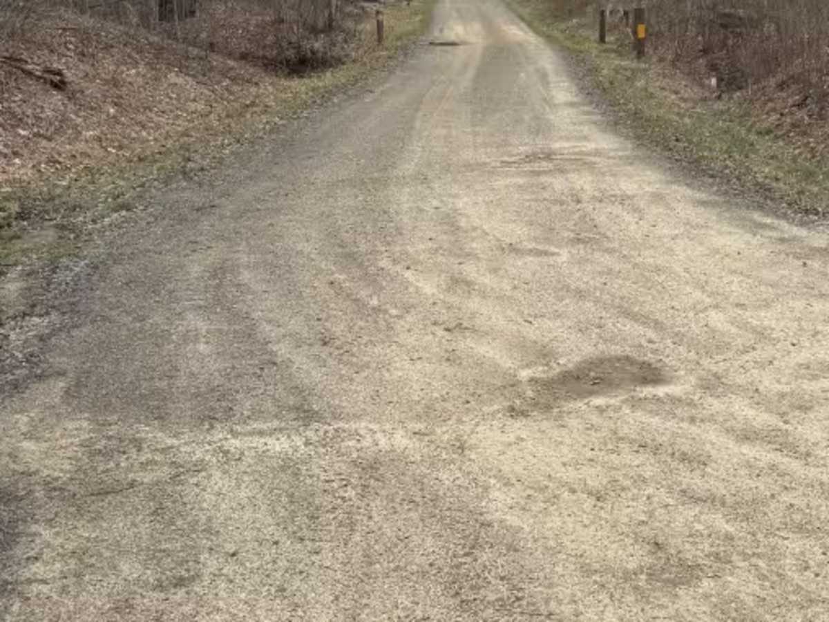 Briggs Run - FS 177 trail photo