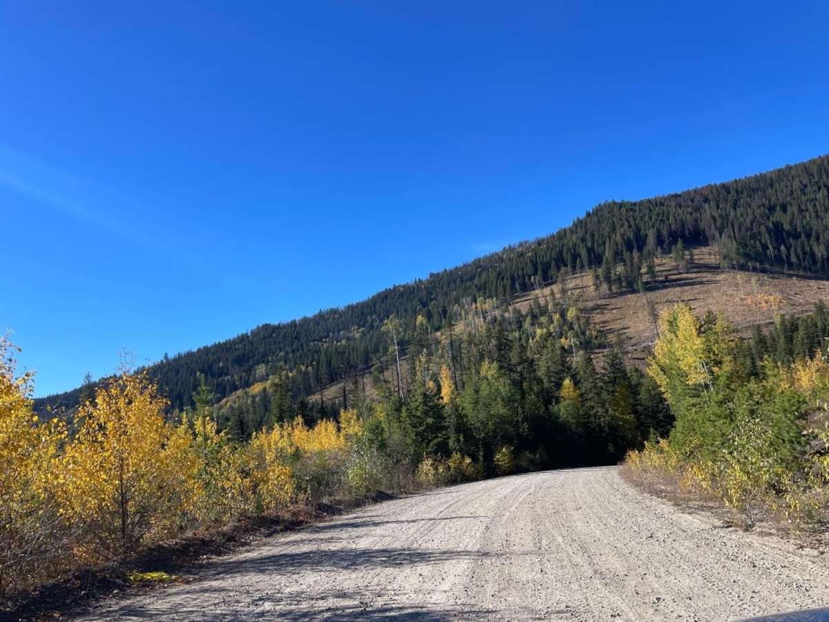 Philpot FSR - Ideal Lake to Highway 33 photo 6