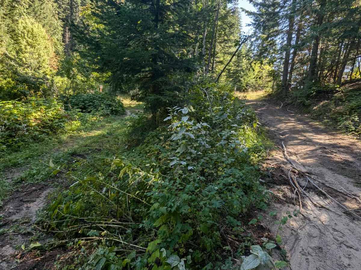Fish Butte Saddle photo 6